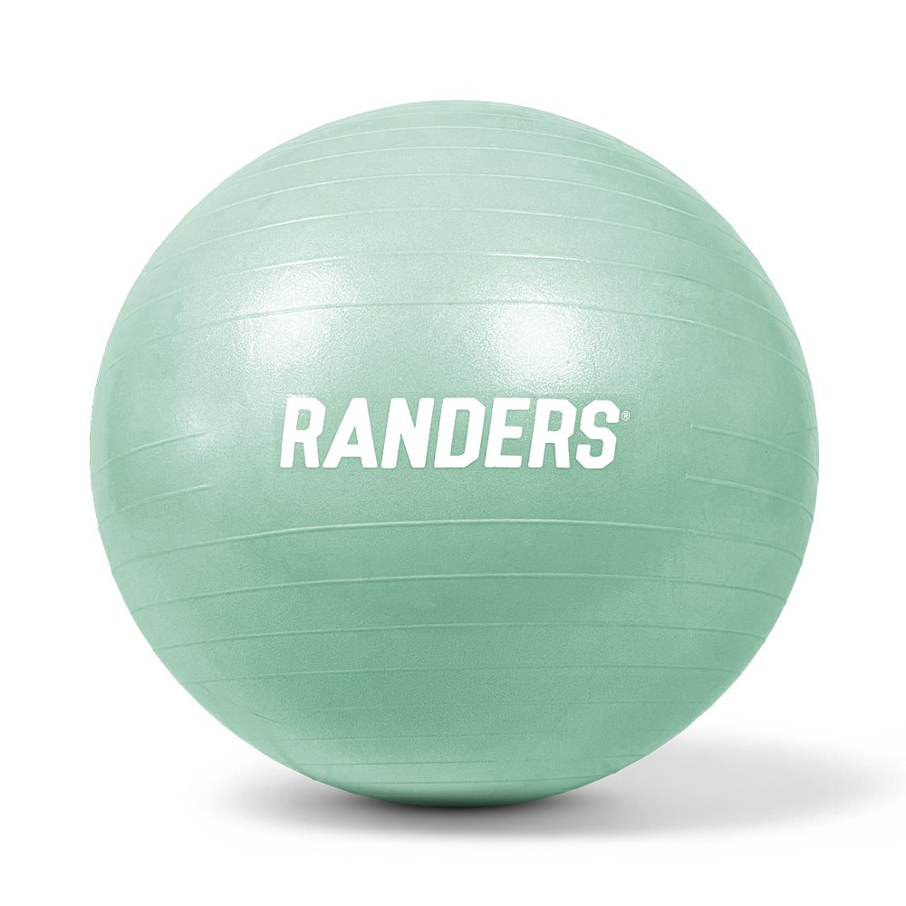 Pelota de esferodinamia de 65 centímetros