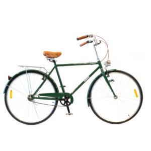 Bicicleta de paseo vintage. Color verde, con detalles en marrón y plateado. Si visualiza un portaequipaje (sobre la rueda trasera) y una luz frontal